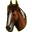 Wandering horses