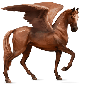 riding pegasus akhal-teke chestnut