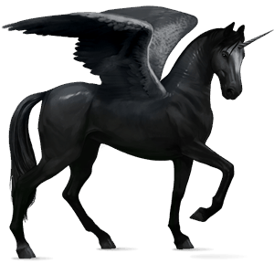 winged riding unicorn marwari black