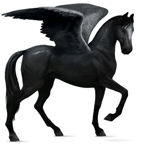 riding pegasus akhal-teke chestnut