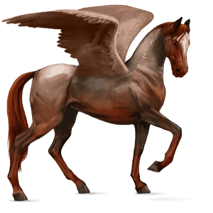 riding pegasus dapple grey