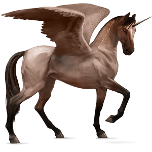 winged riding unicorn chestnut leopard 