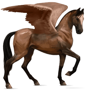 riding pegasus akhal-teke dapple grey