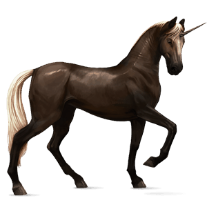 riding unicorn akhal-teke bay