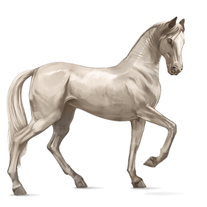 riding horse thoroughbred cremello
