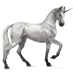 riding unicorn purebred spanish horse light grey