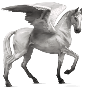 riding pegasus akhal-teke light grey