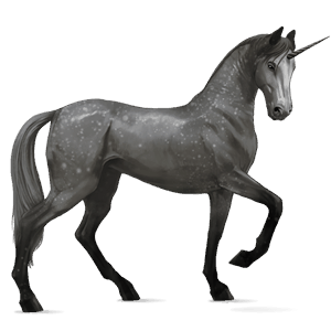 riding unicorn purebred spanish horse dapple grey