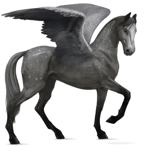 riding pegasus akhal-teke dapple grey