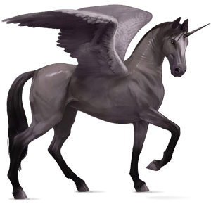 winged riding unicorn shagya arabian mouse grey