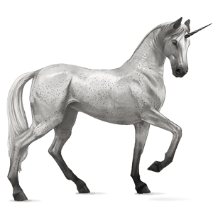 riding unicorn arabian horse fleabitten grey