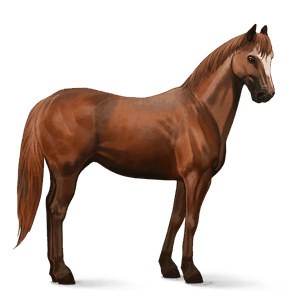 riding horse thoroughbred flaxen liver chestnut 