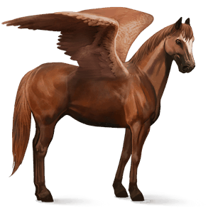riding pegasus akhal-teke chestnut