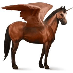 winged riding unicorn icelandic horse cherry bay