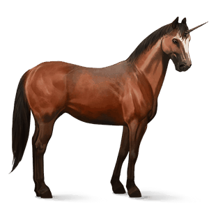 riding unicorn quarter horse dark bay