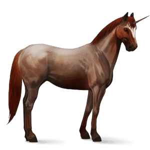 riding unicorn strawberry roan