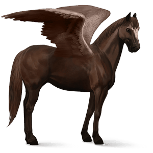 riding pegasus hanoverian chestnut