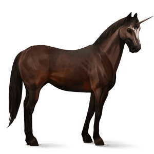 riding unicorn dark bay