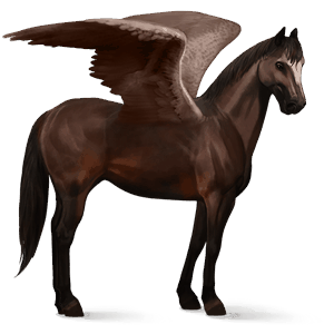 riding pegasus quarter horse liver chestnut
