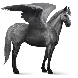 riding pegasus holsteiner chestnut