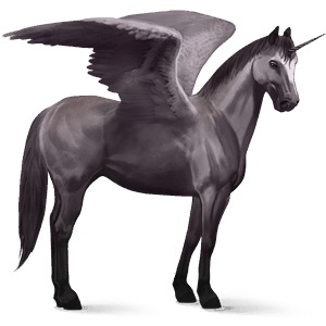 winged riding unicorn bay