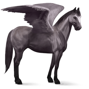 riding pegasus argentinean criollo mouse grey