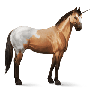 riding unicorn paint horse black overo