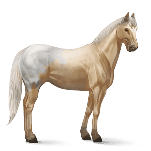 riding horse light grey