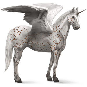 winged riding unicorn knabstrupper chestnut leopard 