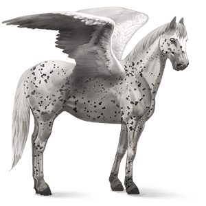 riding pegasus mangalarga marchador light grey