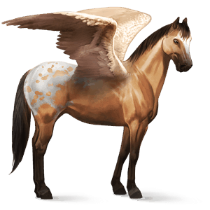 riding pegasus thoroughbred palomino