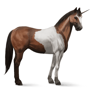 riding unicorn bay tobiano