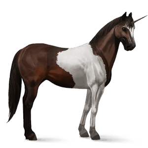 riding unicorn vanner dark bay tobiano