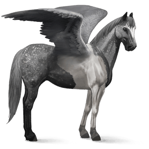 riding pegasus paint horse mouse grey tobiano