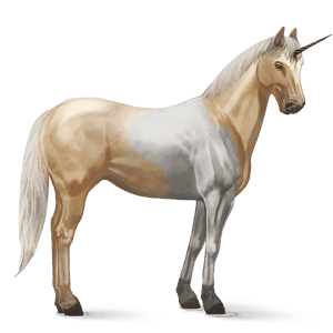 riding unicorn palomino tovero