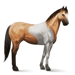 riding horse holsteiner chestnut