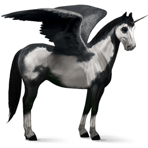 winged riding unicorn bay