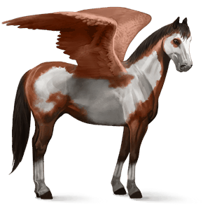riding pegasus argentinean criollo flaxen liver chestnut 