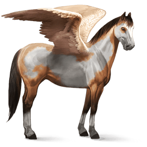 riding pegasus argentinean criollo flaxen chestnut 