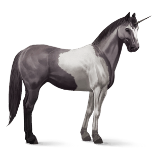 riding unicorn vanner dun tobiano