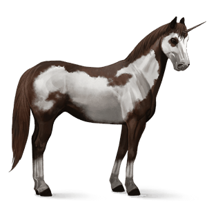 riding unicorn liver chestnut tobiano