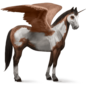winged riding unicorn paint horse liver chestnut overo