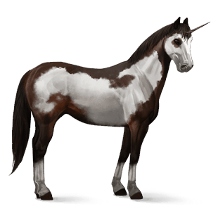 riding unicorn dark bay overo