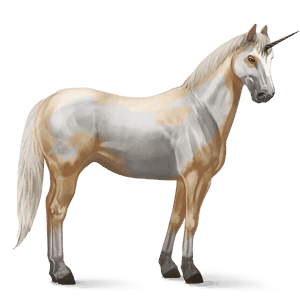 riding unicorn dark bay