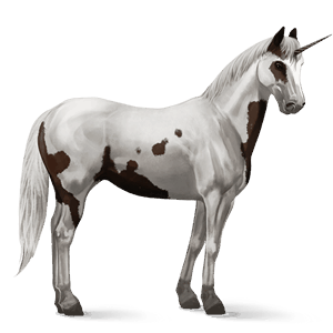 riding unicorn vanner black
