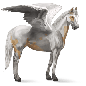 riding pegasus paint horse dark bay tobiano
