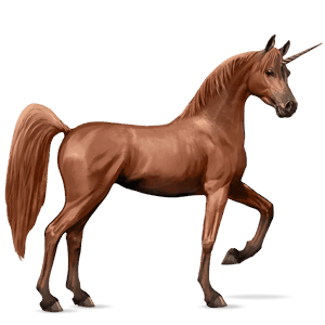 riding unicorn arabian horse dark bay