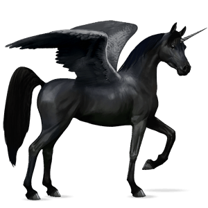 winged riding unicorn shagya arabian light grey