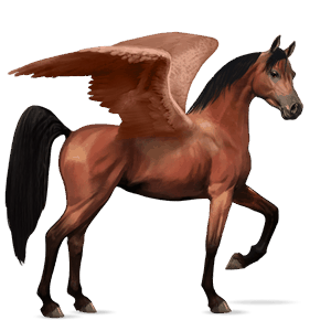 riding pegasus hanoverian black