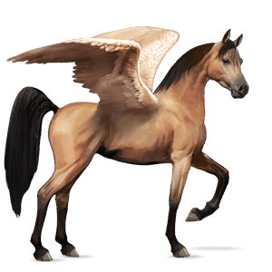 riding pegasus thoroughbred dun